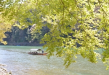 自然に満ち溢れる早春の嵐山
