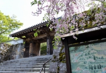 名曲女ひとりの歌詞で有名な【京都大原三千院】を女ひとり散歩