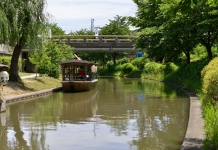 酒どころ伏見桃山 下町水郷めぐり
