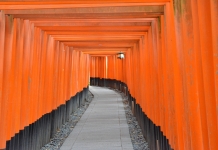 外国人に大人気、京都の人気スポット【伏見稲荷大社】(冬編)